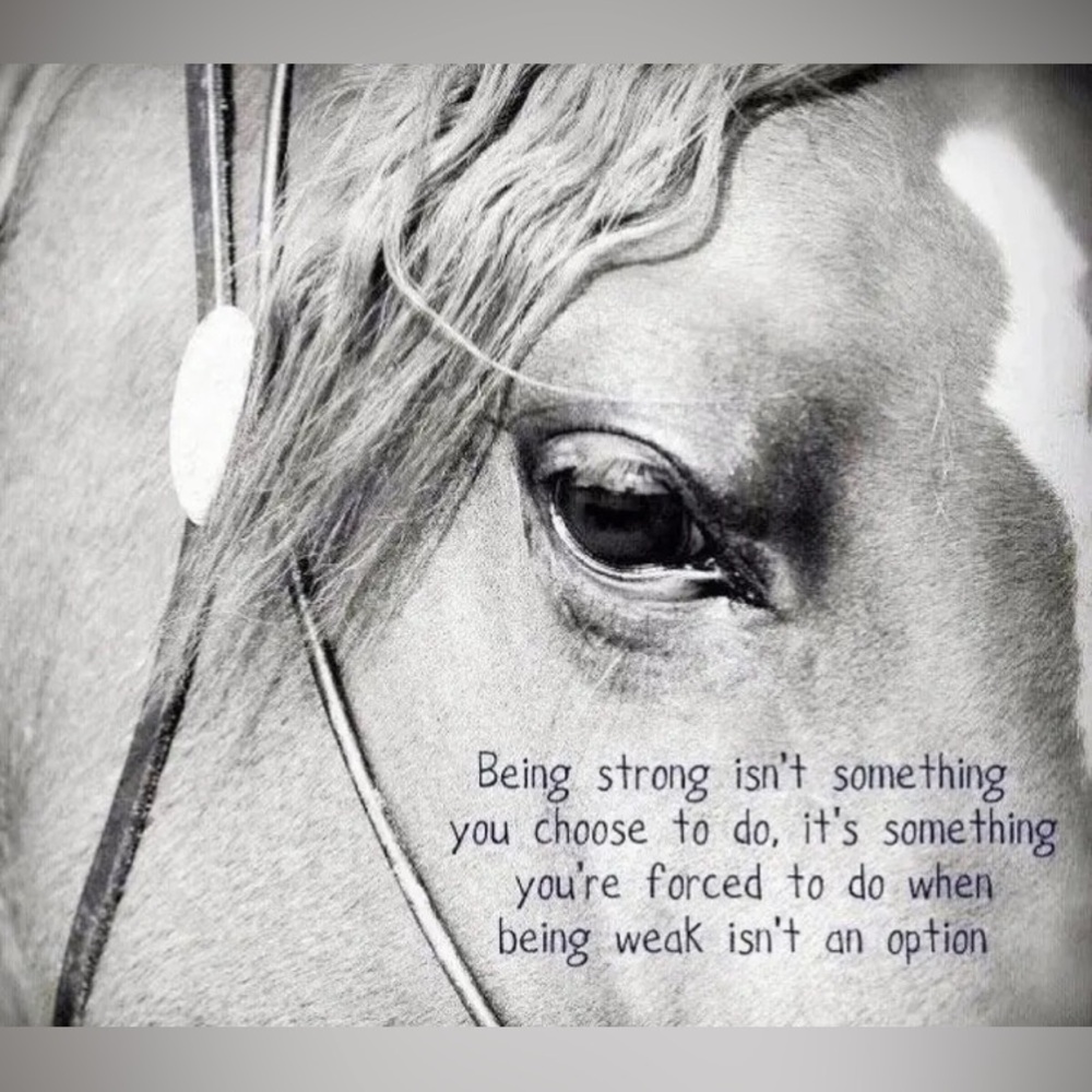 A little COWGIRL MOTIVATION - Picture 12 of 16